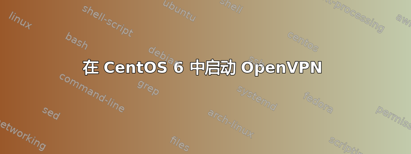 在 CentOS 6 中启动 OpenVPN