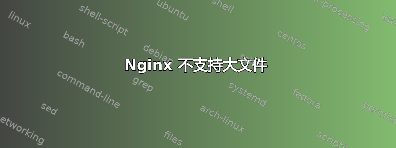 Nginx 不支持大文件