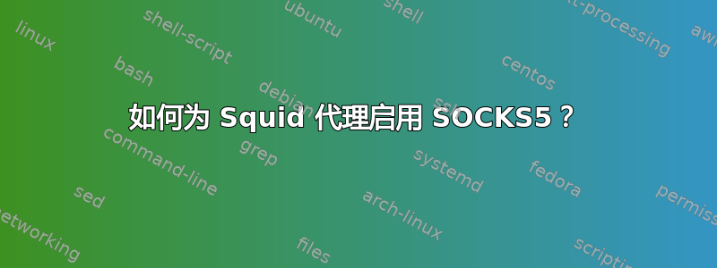 如何为 Squid 代理启用 SOCKS5？