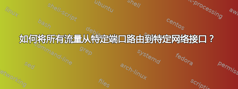 如何将所有流量从特定端口路由到特定网络接口？