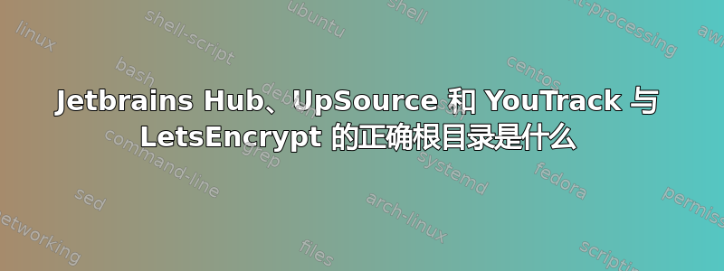 Jetbrains Hub、UpSource 和 YouTrack 与 LetsEncrypt 的正确根目录是什么