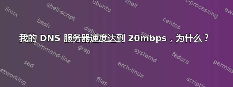 我的 DNS 服务器速度达到 20mbps，为什么？