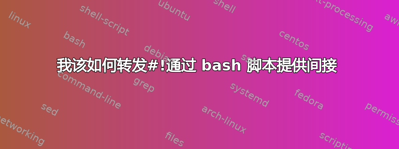 我该如何转发#!通过 bash 脚本提供间接