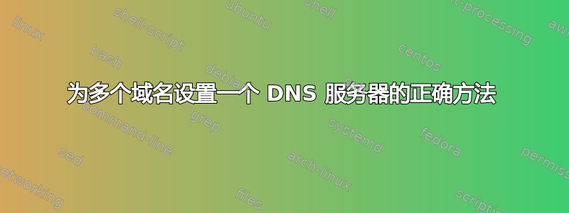 为多个域名设置一个 DNS 服务器的正确方法