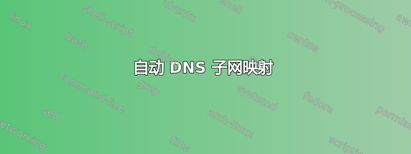 自动 DNS 子网映射