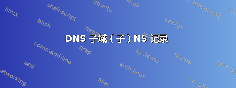 DNS 子域（子）NS 记录