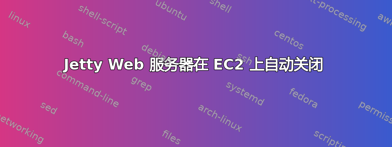 Jetty Web 服务器在 EC2 上自动关闭