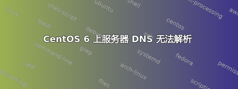 CentOS 6 上服务器 DNS 无法解析