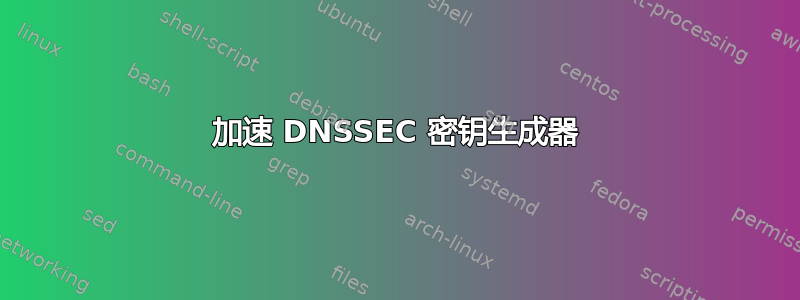 加速 DNSSEC 密钥生成器