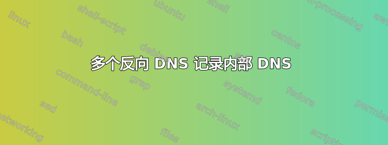 多个反向 DNS 记录内部 DNS