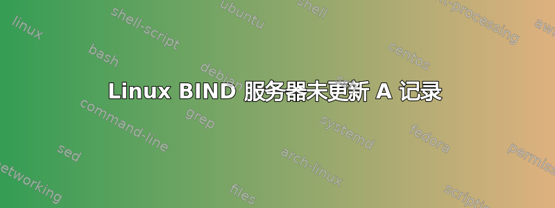 Linux BIND 服务器未更新 A 记录