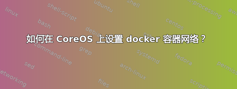 如何在 CoreOS 上设置 docker 容器网络？