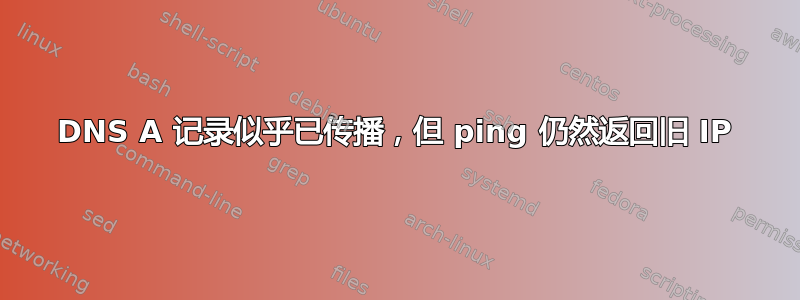 DNS A 记录似乎已传播，但 ping 仍然返回旧 IP