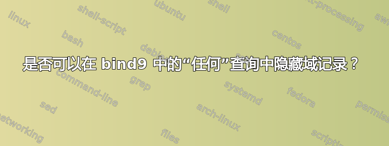 是否可以在 bind9 中的“任何”查询中隐藏域记录？