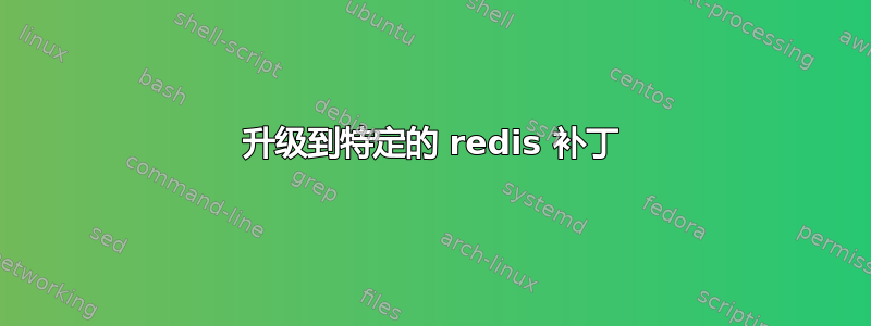 升级到特定的 redis 补丁