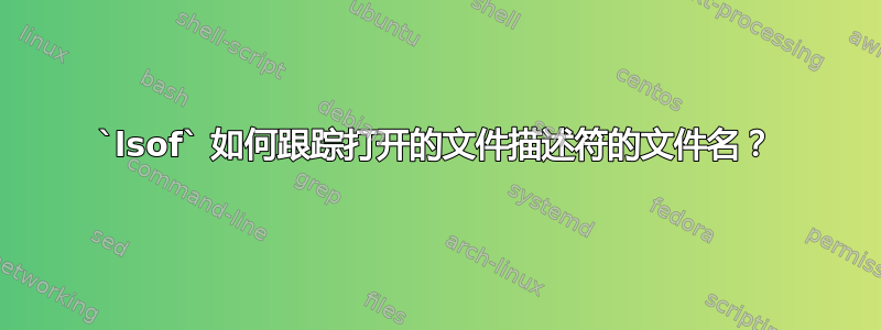 `lsof` 如何跟踪打开的文件描述符的文件名？