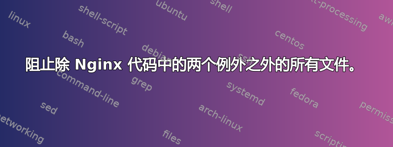 阻止除 Nginx 代码中的两个例外之外的所有文件。