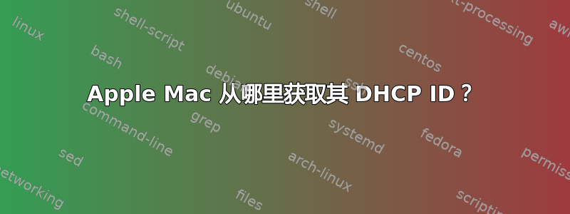 Apple Mac 从哪里获取其 DHCP ID？