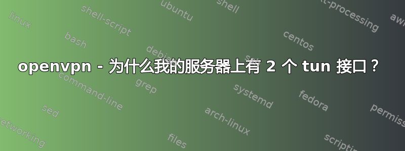 openvpn - 为什么我的服务器上有 2 个 tun 接口？