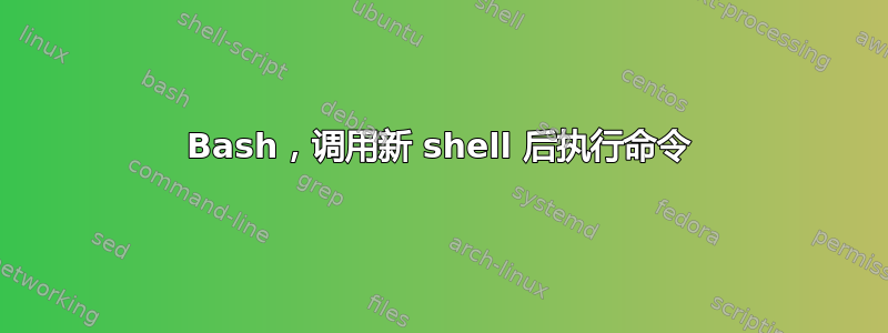 Bash，调用新 shell 后执行命令