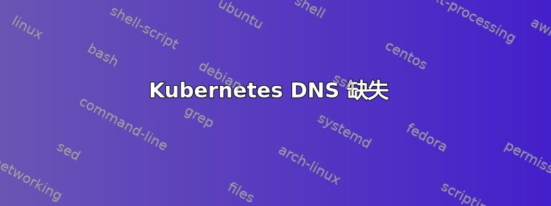 Kubernetes DNS 缺失 