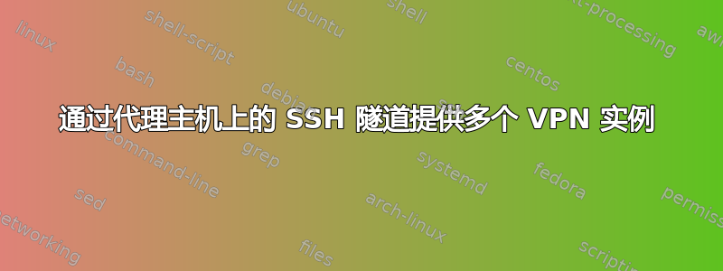 通过代理主机上的 SSH 隧道提供多个 VPN 实例