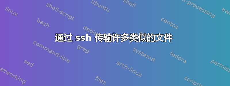 通过 ssh 传输许多类似的文件