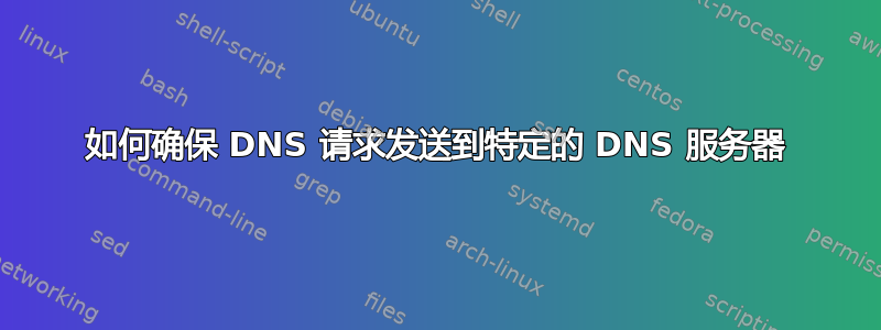 如何确保 DNS 请求发送到特定的 DNS 服务器