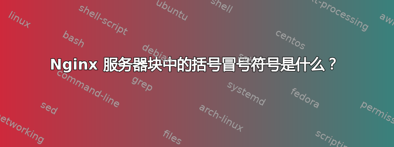 Nginx 服务器块中的括号冒号符号是什么？