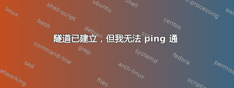 隧道已建立，但我无法 ping 通