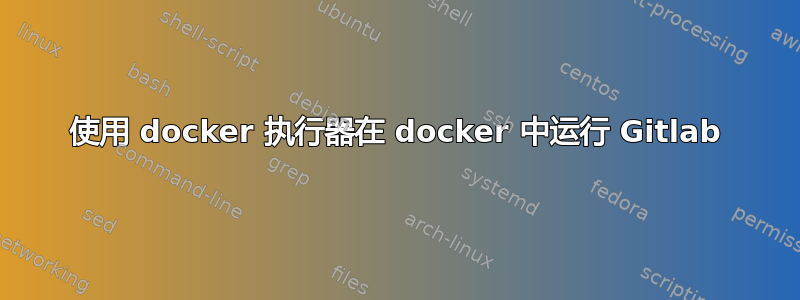 使用 docker 执行器在 docker 中运行 Gitlab