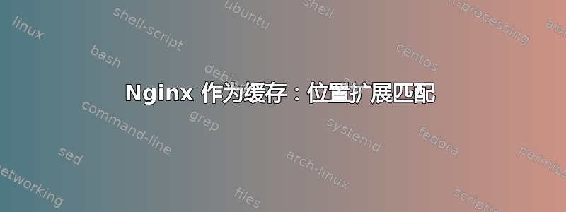 Nginx 作为缓存：位置扩展匹配