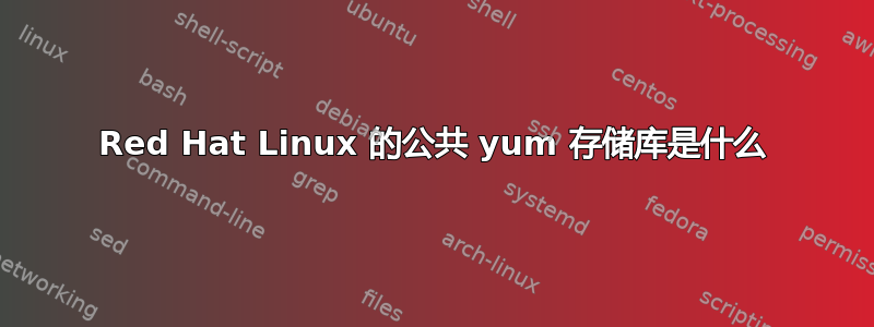 Red Hat Linux 的公共 yum 存储库是什么