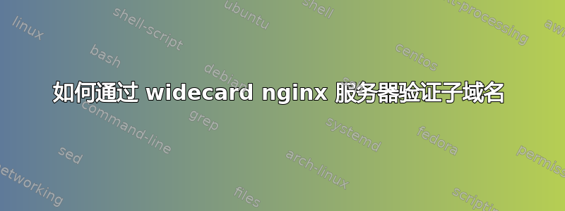 如何通过 widecard nginx 服务器验证子域名