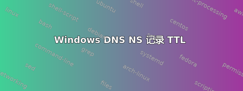 Windows DNS NS 记录 TTL