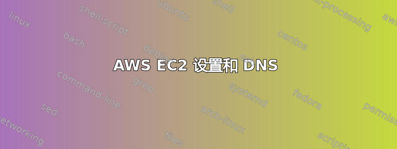 AWS EC2 设置和 DNS