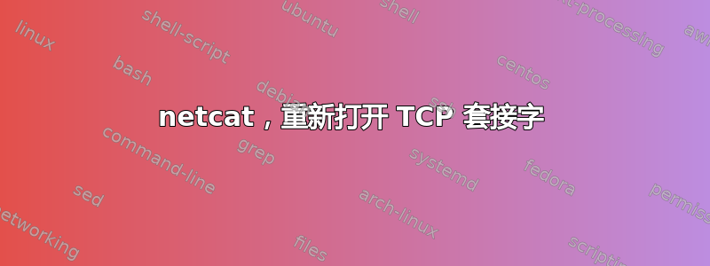 netcat，重新打开 TCP 套接字