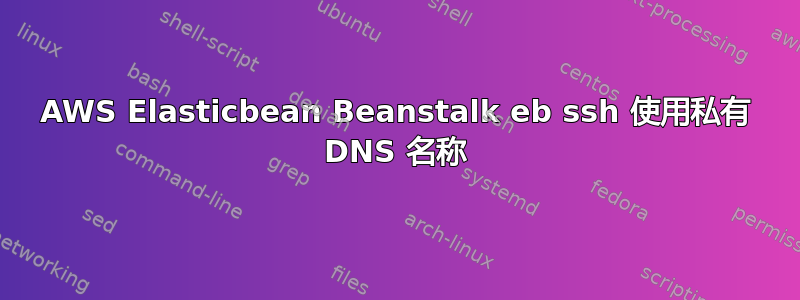 AWS Elasticbean Beanstalk eb ssh 使用私有 DNS 名称