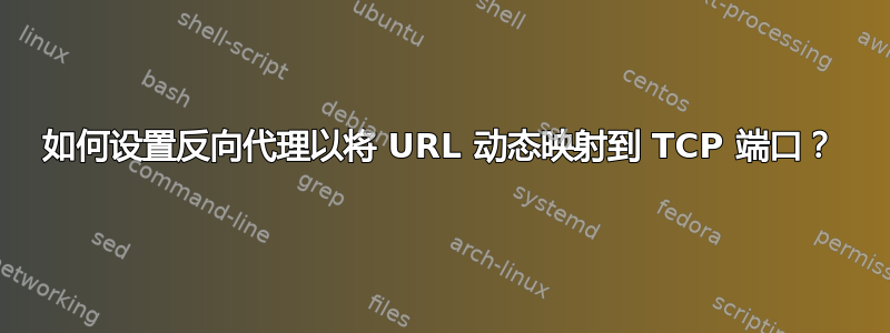 如何设置反向代理以将 URL 动态映射到 TCP 端口？