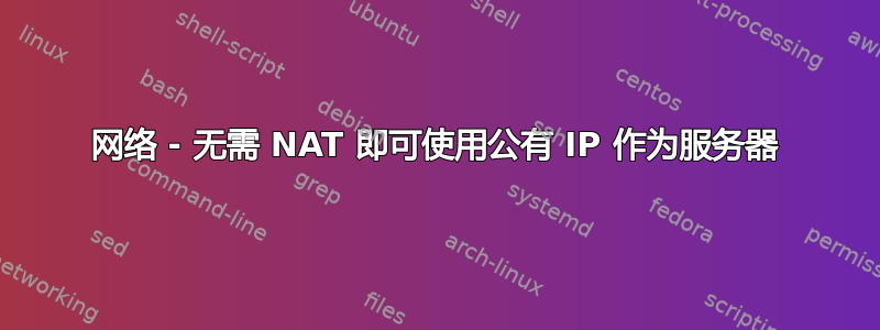 网络 - 无需 NAT 即可使用公有 IP 作为服务器