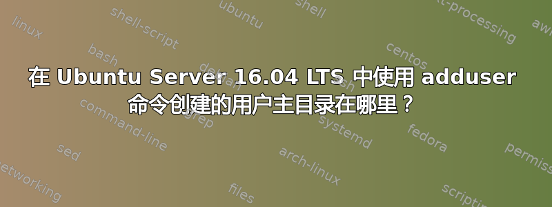 在 Ubuntu Server 16.04 LTS 中使用 adduser 命令创建的用户主目录在哪里？