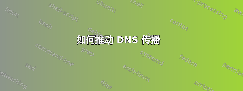 如何推动 DNS 传播 