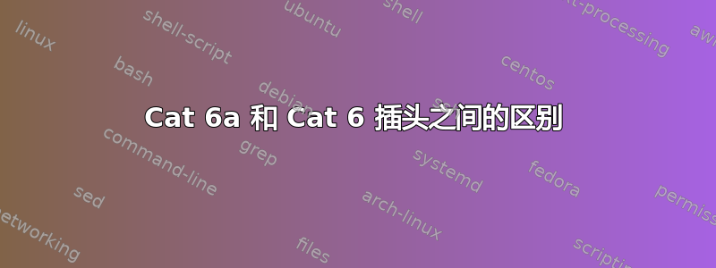 Cat 6a 和 Cat 6 插头之间的区别