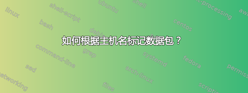 如何根据主机名标记数据包？