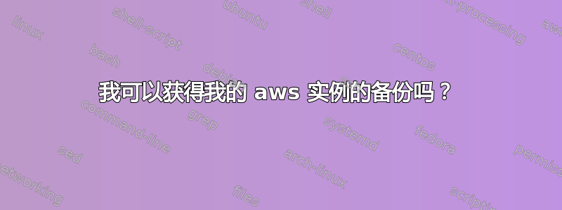 我可以获得我的 aws 实例的备份吗？