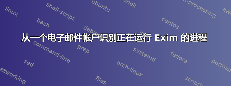 从一个电子邮件帐户识别正在运行 Exim 的进程