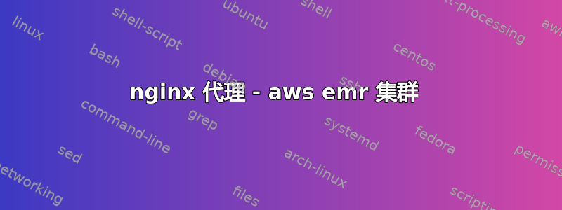 nginx 代理 - aws emr 集群 