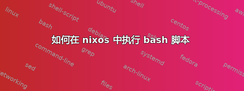 如何在 nixos 中执行 bash 脚本