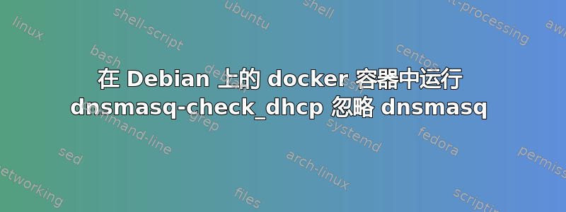 在 Debian 上的 docker 容器中运行 dnsmasq-check_dhcp 忽略 dnsmasq