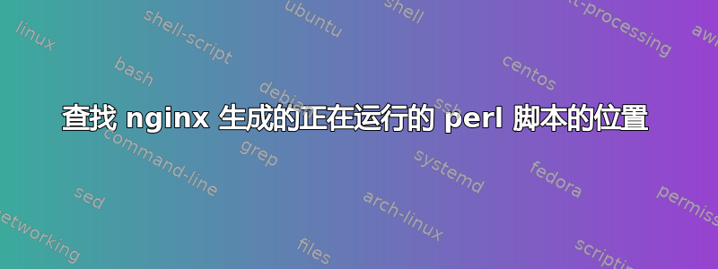 查找 nginx 生成的正在运行的 perl 脚本的位置